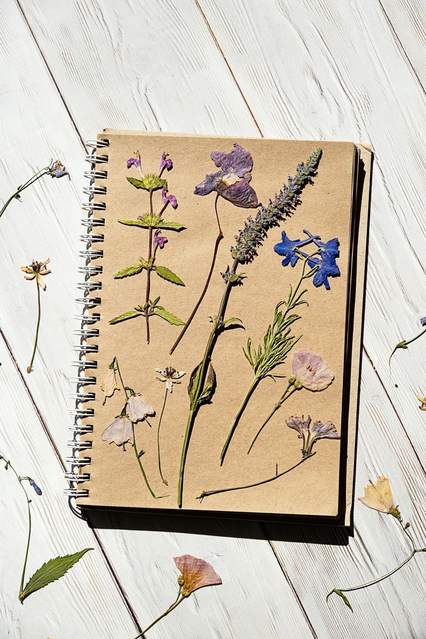 Pressed dried real flowers and natural herbs arranged collage an old notebook.