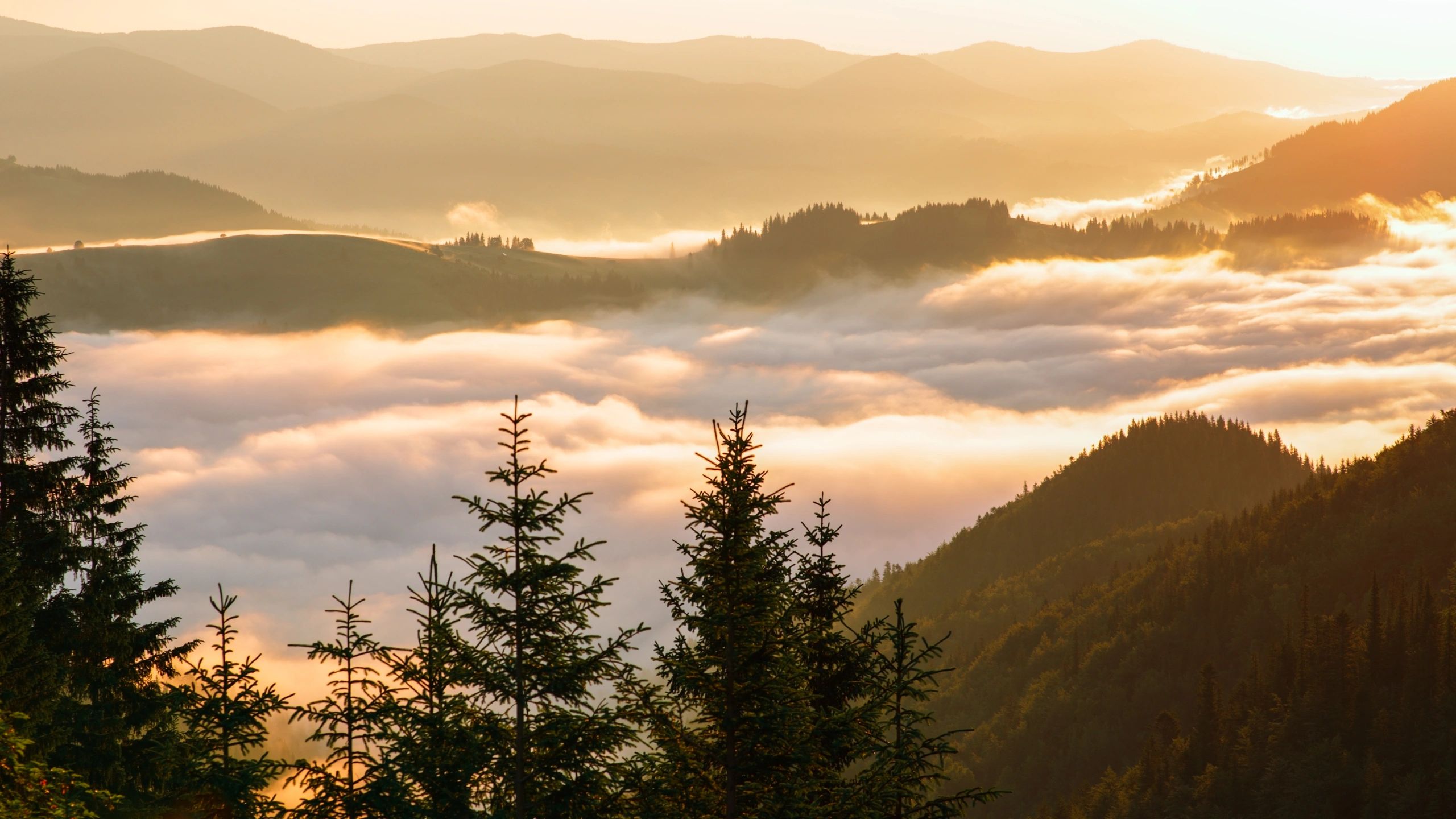 Floating clouds between mountains on the sunrise background